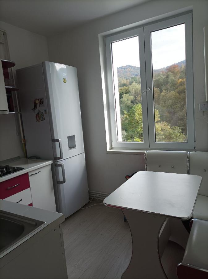 Apartament Doua Camere Uricani (Hunedoara) Exterior foto